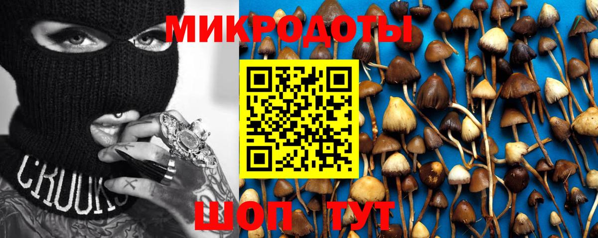 наркота  Псилоцибиновые грибы Psilocybine cubensis  Вход с VPN  Галлюциногенные грибы мицелий  Уссурийск 