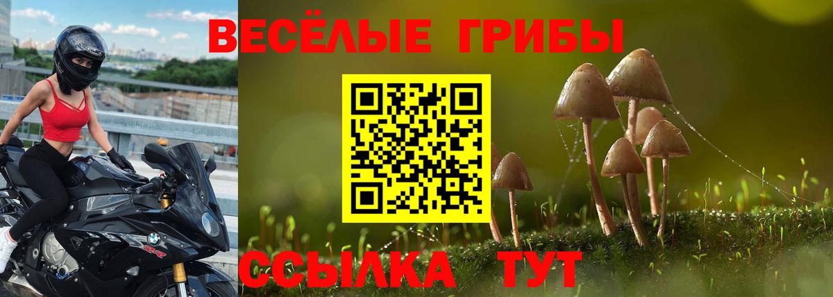 Галлюциногенные грибы ЛСД Уссурийск
